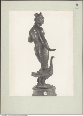 Vorderseite von bh220486_recto