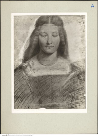 Vorderseite von bh220546_recto