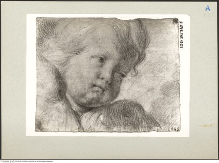 Vorderseite von bh220548_recto