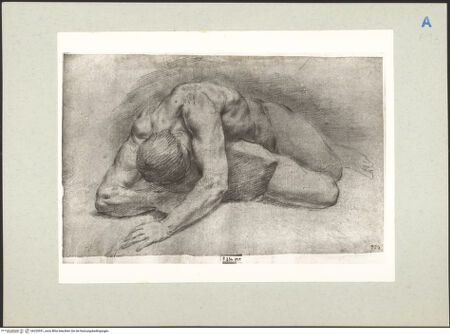 Vorderseite von bh220551_recto