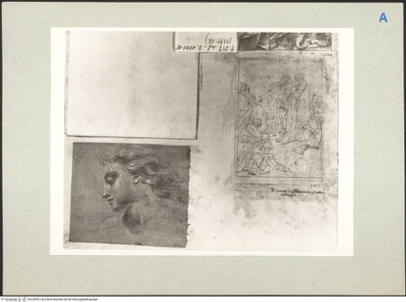 Vorderseite von bh220553_recto