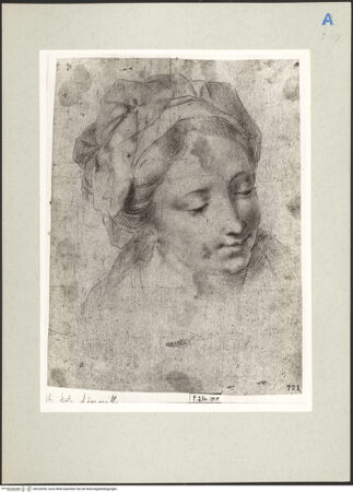 Vorderseite von bh220555_recto