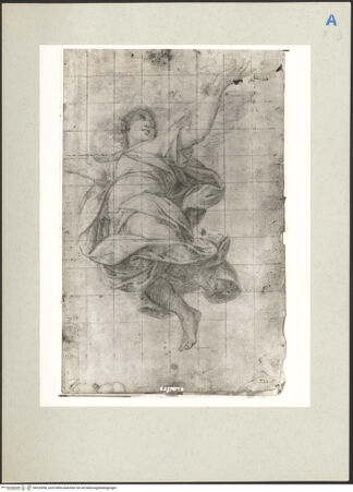 Vorderseite von bh220556_recto