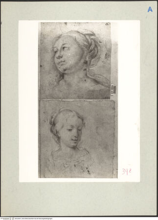 Vorderseite von bh220557_recto