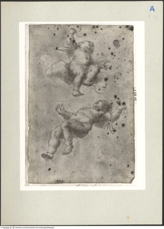 Vorderseite von bh220559_recto