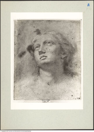 Vorderseite von bh220562_recto