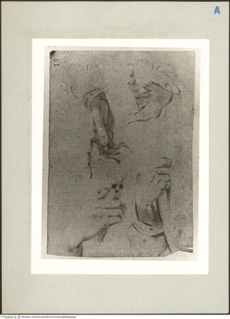 Vorderseite von bh220564_recto