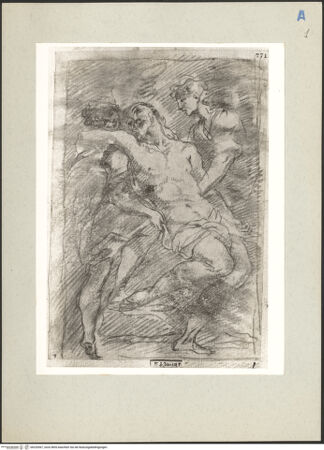 Vorderseite von bh220567_recto