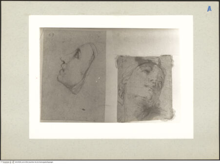 Vorderseite von bh220569_recto