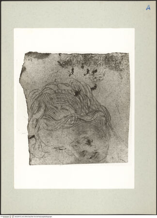 Vorderseite von bh220570_recto