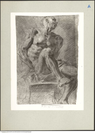 Vorderseite von bh220573_recto