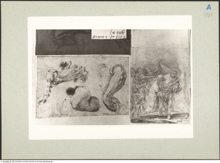 Vorderseite von bh220582_recto