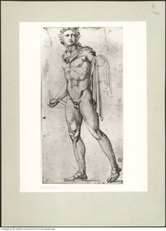 Vorderseite von Perotti [https://www.deutsche-digitale-bibliothek.de/content/lizenzen/rv-fz/] Apoll vom Belvedere - , bh220589_recto. Foto.