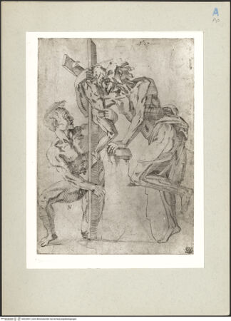 Vorderseite von bh220591_recto