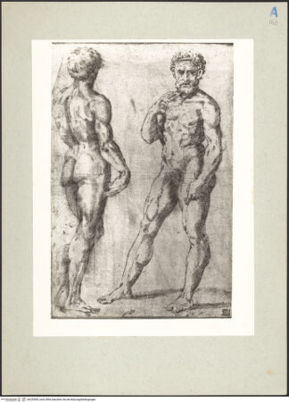 Vorderseite von bh220593_recto