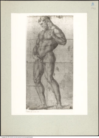 Vorderseite von bh220595_recto