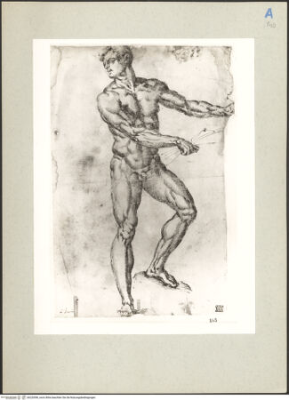 Vorderseite von Perotti [https://www.deutsche-digitale-bibliothek.de/content/lizenzen/rv-ez/] Stehende männliche Aktfigur - , bh220596_recto. Foto.