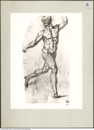 Vorderseite von Perotti [https://www.deutsche-digitale-bibliothek.de/content/lizenzen/rv-ez/] Laufende männliche Aktfigur - , bh220597_recto. Foto.