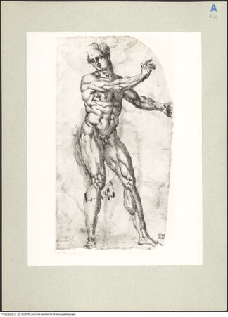 Vorderseite von Perotti [https://www.deutsche-digitale-bibliothek.de/content/lizenzen/rv-fz/] Stehende männliche Aktfigur - , bh220598_recto. Foto.