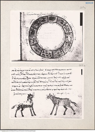 Vorderseite von bh220609_bh220610_recto