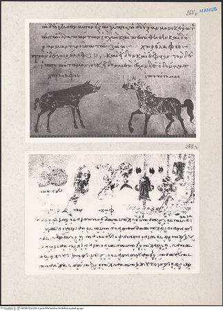 Vorderseite von bh220613_bh220614_recto