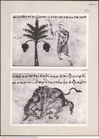 Vorderseite von bh220615_bh220616_recto