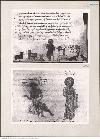 Vorderseite von bh220646_bh220647_recto