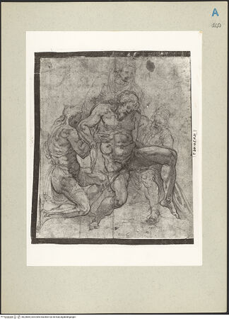 Vorderseite von bh220665_recto