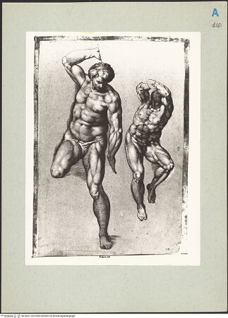 Vorderseite von bh220667_recto