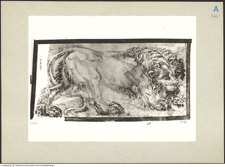 Vorderseite von bh220668_recto