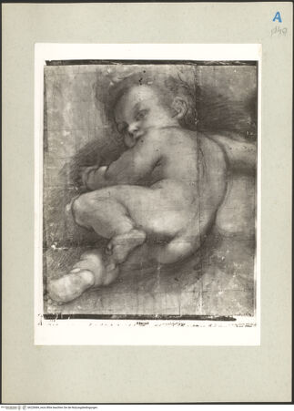 Vorderseite von bh220684_recto