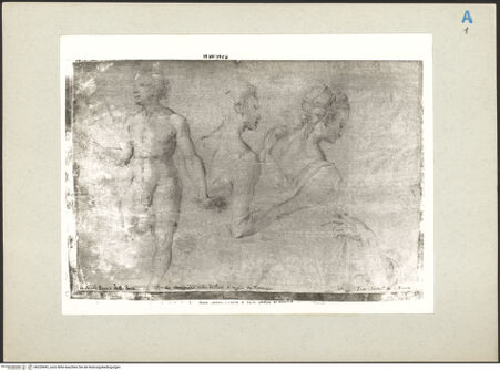 Vorderseite von bh220693_recto