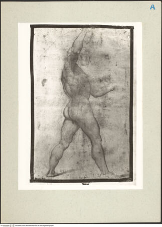 Vorderseite von bh220696_recto