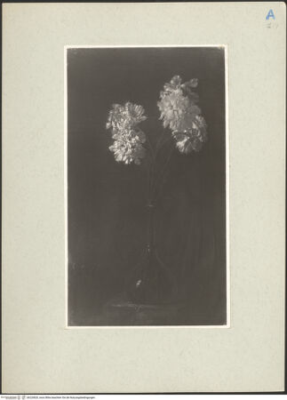 Vorderseite von bh220820_recto