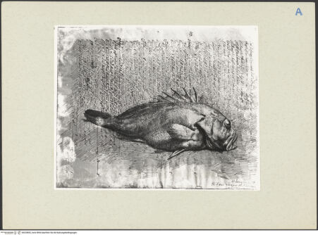 Vorderseite von bh220852_recto