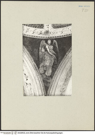 Vorderseite von ICCD [https://www.deutsche-digitale-bibliothek.de/content/lizenzen/rv-ez/] Gewölbeausmalung mit Präfigurationen der Jungfräulichkeit MariasEngel in den Pendentifs - Aufnahme nach der Restaurierung 1966, bh220922_recto. Foto.