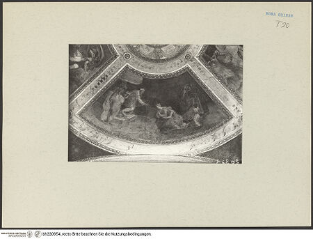 Vorderseite von ICCD [https://www.deutsche-digitale-bibliothek.de/content/lizenzen/rv-ez/] Gewölbeausmalung mit Präfigurationen der Jungfräulichkeit MariasAbisag und David ? - Aufnahme nach der Restaurierung 1966, bh220954_recto. Foto.