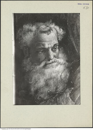 Vorderseite von ICCD [https://www.deutsche-digitale-bibliothek.de/content/lizenzen/rv-ez/] Beweinung Christi mit Porträt des Kardinals Johann Albrecht von Brandenburg - Detail: Kopf des Joseph von Arimathia, bh221083_recto. Foto.