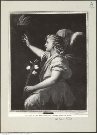 Vorderseite von bh221304_recto