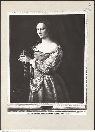 Vorderseite von bh221308_recto