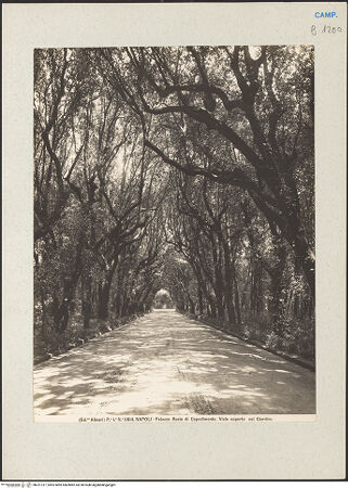 Vorderseite von Alinari [https://www.deutsche-digitale-bibliothek.de/content/lizenzen/rv-ez/] Palazzo Reale di CapodimonteParco e Bosco di Capodimonte - Wald, bh221317_recto. Foto.