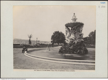 Vorderseite von Alinari [https://www.deutsche-digitale-bibliothek.de/content/lizenzen/rv-ez/] Fontana del Belvedere - Seitenansicht, bh221318_recto. Foto.