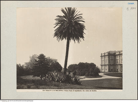 Vorderseite von Alinari [https://www.deutsche-digitale-bibliothek.de/content/lizenzen/rv-ez/] Palazzo Reale di CapodimonteParco e Bosco di Capodimonte - Ansicht, bh221319_recto. Foto.