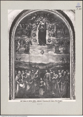 Vorderseite von Alinari [https://www.deutsche-digitale-bibliothek.de/content/lizenzen/rv-ez/] Mariä Himmelfahrt - Gesamtansicht, bh221383_recto. Foto.