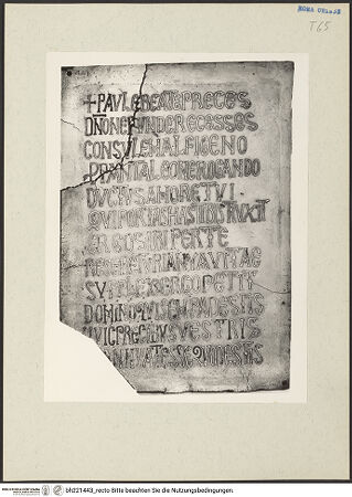 Vorderseite von bh221443_recto