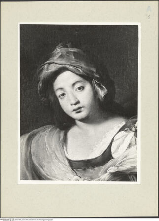 Vorderseite von bh221830_recto