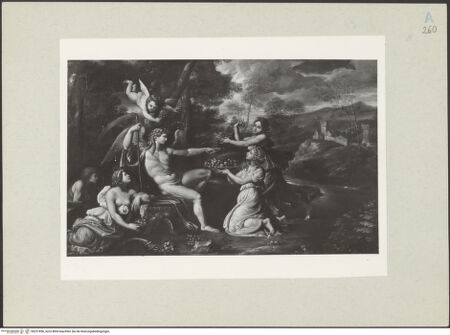 Vorderseite von bh221856_recto