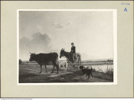 Vorderseite von bh221888_recto