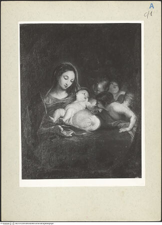 Vorderseite von bh221979_recto