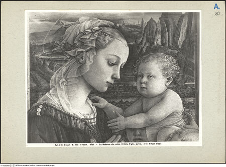 Vorderseite von bh222166_recto